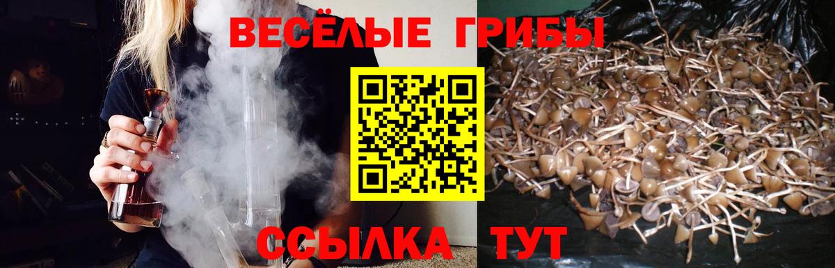 Псилоцибиновые грибы Psilocybine cubensis Комсомольск-на-Амуре