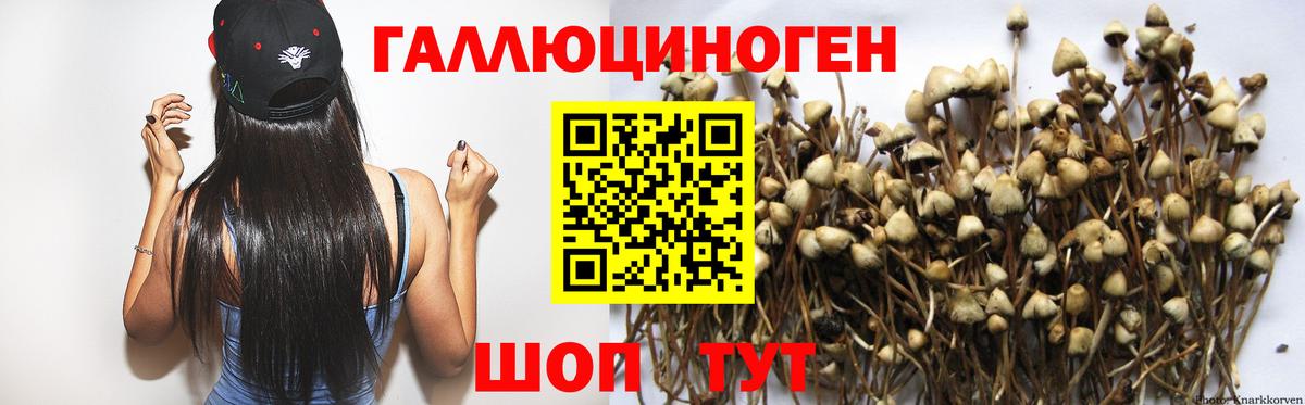 хочу   Вход с VPN  Комсомольск-на-Амуре  Галлюциногенные грибы прущие грибы 